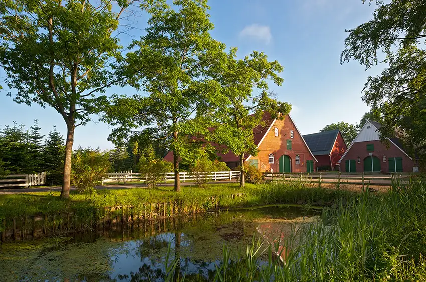 Hof-Lafrenz-Altenbruch-Cuxhaven-Nordseeferienhoefe-Familienurlaub-Urlaub-Bauernhof-Ferienurlaub-Nordsee