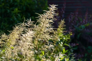 Urlaub_auf_dem_Bauernhof_Familienurlaub__Nordsee_Mushardt_Hof_Katthusen_Hof_Lafrenz_Cuxhaven_Altenbruch_Otterndorf