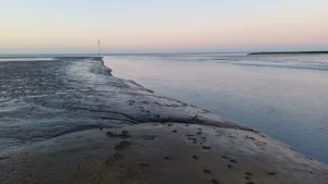 Bauernhofurlaub_Familienurlaub_Ferien_Bauernhof_Otterndorf_in_der_Naehe_Cuxhaven_Hof_Katthusen_Hof_Lafrenz_Mushardt