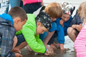 Elbe_Kinderbauernhof_Familienurlaub_Nordsee_Otterndorf_Altenbruch_Cuxhaven_Hof_Katthusen_Hof_Lafrenz_Mushardt