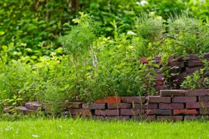 Familienurlaub_Erlebnisbauernhof_Urlaub_auf_dem_Bauernhof_Altenbruch_Cuxhaven_Altenbruch_Hof_Katthusen_Hof_Lafrenz_Mushardt