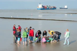 Landwirtschaft_Kinderbauernhof_Ferienwohnung_Nordsee_Altenbruch_Cuxhaven_Altenbruch_Hof_Katthusen_Hof_Lafrenz_Mushardt