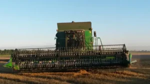 Urlaub_Bauernhof_Urlaub_auf_dem_Bauernhof_Erlebnisbauernhof_Altenbruch_Nordsee_Otterndorf_Hof_Katthusen_Hof_Lafrenz_Mushardt