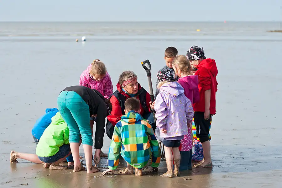 Kinderbauernhof_Bauernhofurlaub_Nordsee_Otterndorf_Hof_Katthusen_Hof_Lafrenz_Mushardt
