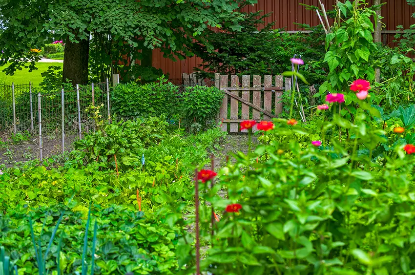 Bauernhof_Entdecker_Kurs_Hof_Katthusen_Otterndorf_Tiere_Landwirtschaft_Pflanzen